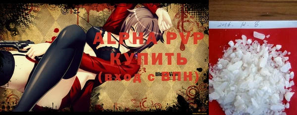 молекула духа Осташков