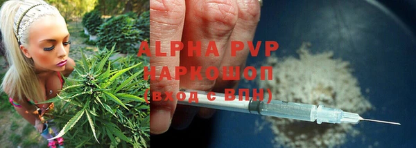 молекула духа Осинники