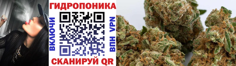даркнет сайт  Саяногорск  Бошки Шишки планчик 